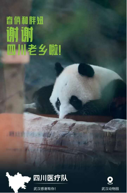 图片8.png