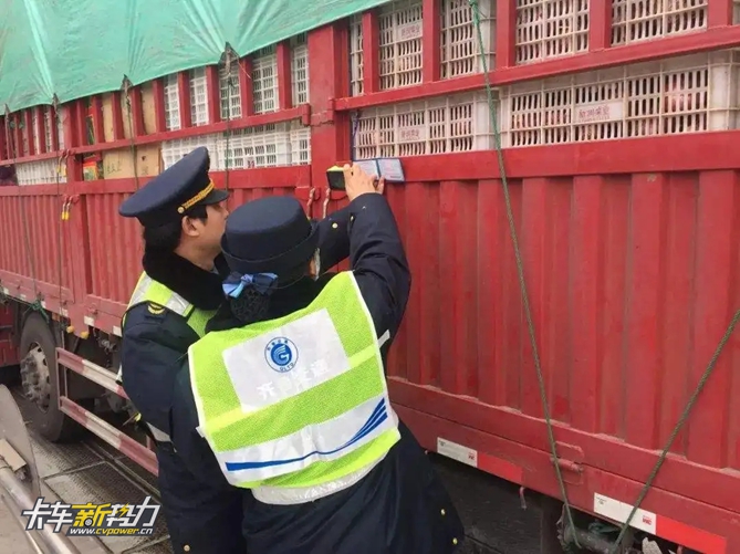 图片267.jpg