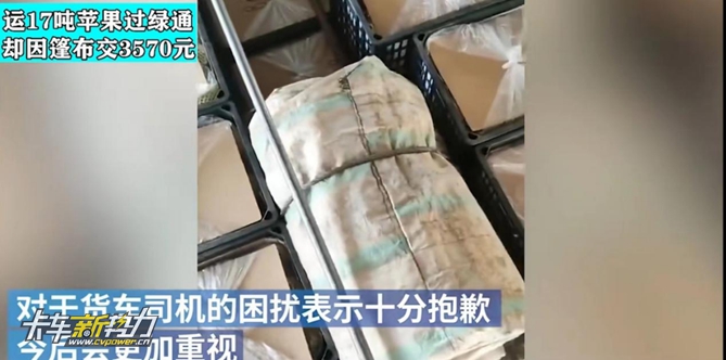 图片271.jpg